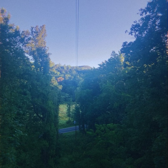 Meet your Posher, Rosa - Picture 1 of 1